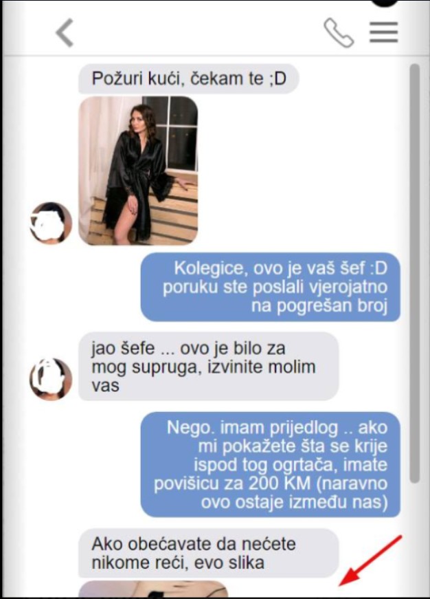 UMJESTO SUPRUGU SLUČAJNO SAM ŠEFU POSLALA PORUKU: Ponudio mi je povišicu ako mu pošaljem cijelu sliku, KAD SAM MU POSLALA USLIJEDIO