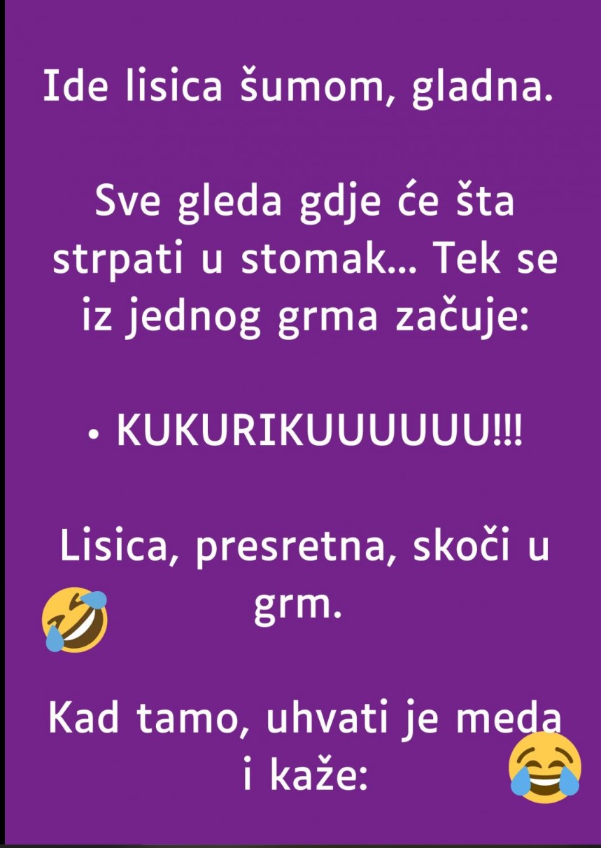 VIC: Ide lisica šumom