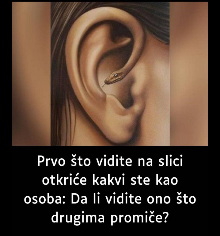 Prvo što vidite na slici otkriće kakvi ste kao osoba: Da li vidite ono što drugima promiče?
