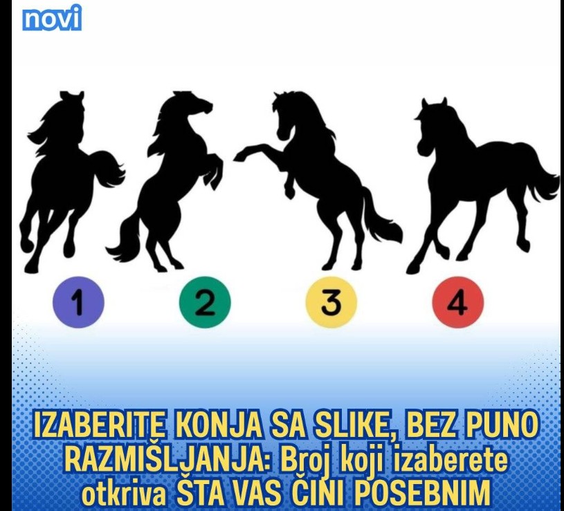 IZABERITE KONJA SA SLIKE, BEZ PUNO RAZMIŠLJANJA: Broj koji izaberete otkriva ŠTA VAS ČINI POSEBNIM
