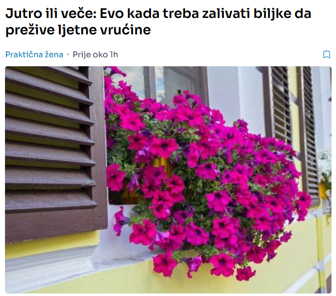 Jutro ili veče: Evo kada treba zalivati biljke da prežive ljetne vrućine