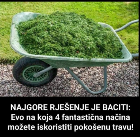 NAJGORE RJEŠENJE JE BACITI: Evo na koja 4 fantastična načina možete iskoristiti pokošenu travu!