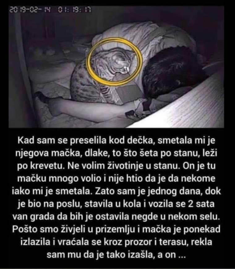 “Preselila sam se kod dečka koji je imao macu