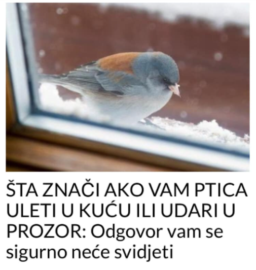 ŠTA ZNAČI AKO VAM PTICA ULETI U KUĆU ILI UDARI U PROZOR: Odgovor vam se sigurno neće svidjeti