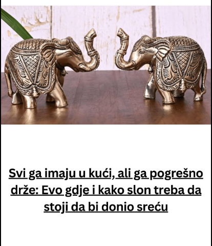 Da li znate simboliku slona u domu? Evo kako ga postaviti za harmoniju i dobru energiju