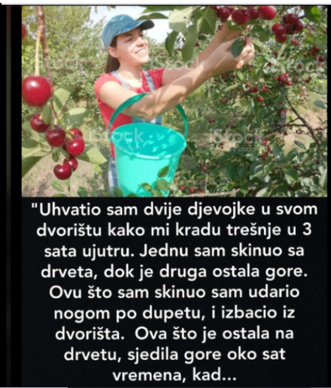 “Uhvatio sam dvije djevojke u svom dvorištu kako mi kradu trešnje”