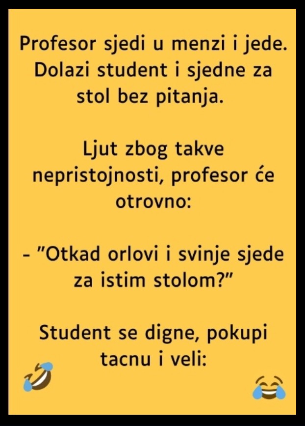 VIC: Profesor i student