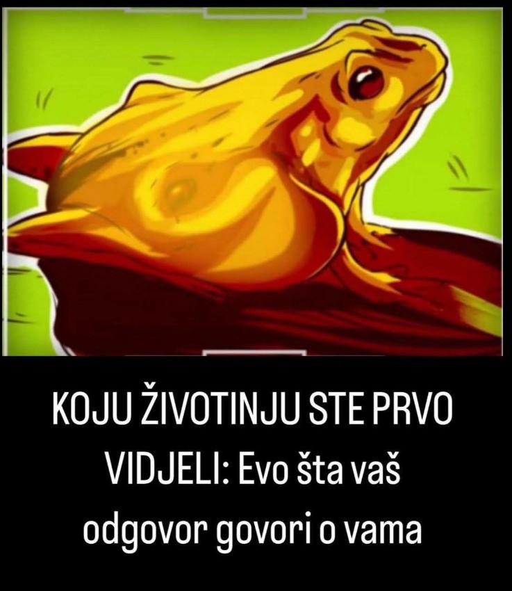 KOJU ŽIVOTINJU STE PRVO VIDJELI: Evo šta vaš odgovor govori o vama