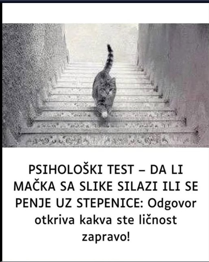 DA LI MAČKA SA SLIKE SILAZI ILI SE PENJE UZ STEPENICE: Odgovor otkriva kakva ste ličnost zapravo!