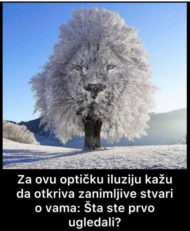 Optičke iluzije kao ogledalo ličnosti: šta prvo primetite na slici?