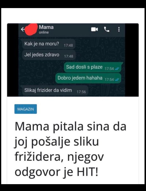 Mama je tražila sliku frižidera – sin je smislio neočekivano rješenje!