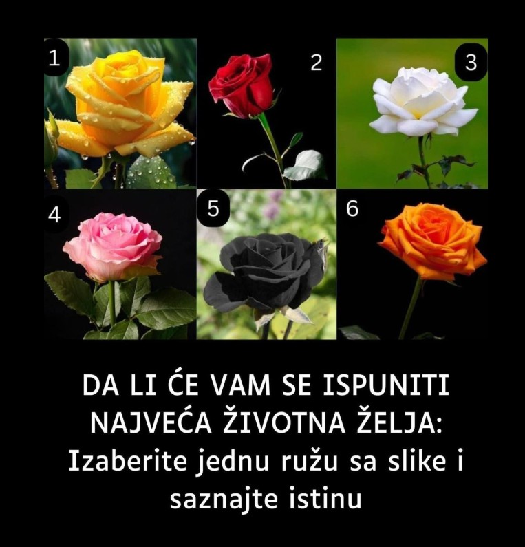 Izaberite jednu ružu i saznajte šta vam vaša odluka govori o vama