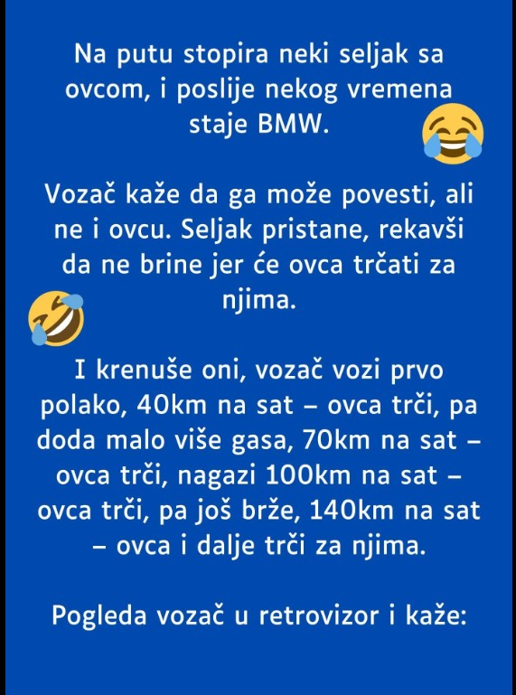 Vic dana koji nasmijava cijeli internet: Šta se desi kad ovca poželi da pretiče BMW?