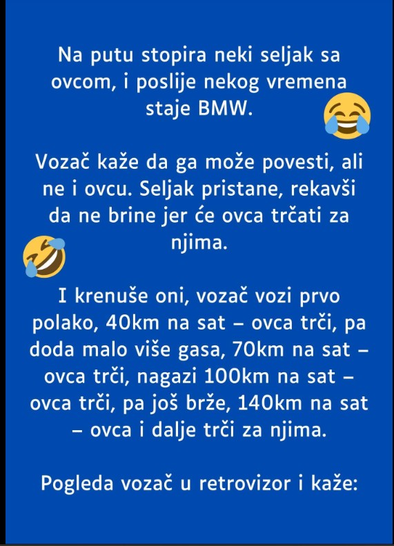 Vic dana koji nasmijava cijeli internet: Šta se desi kad ovca poželi da pretiče BMW?