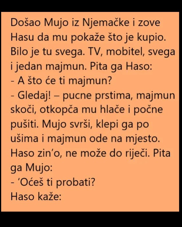 “Vic dana: Mujo, Švabica i zbunjena majka – kada se jezici i običaji ne razumeju” 😂