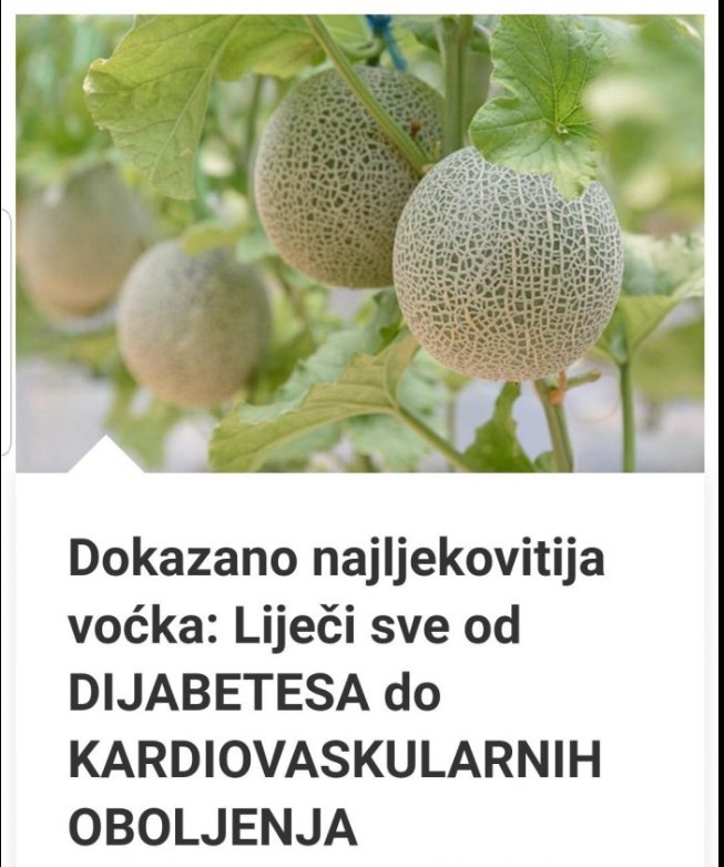 Dinja – Najljekovitije Ljetno Voće: Kako Ova Skromna Voćka Podržava Srce, Oči, Imunitet i Reguliše Šećer u Krvi