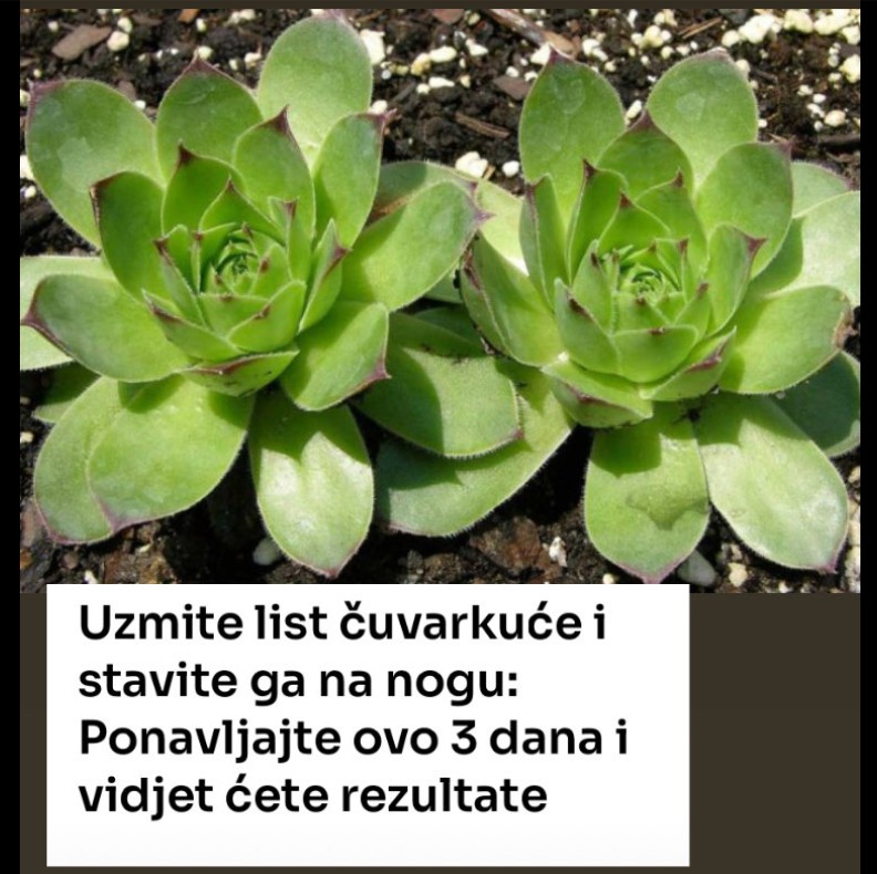 Kako njegovati stopala tokom ljeta: Savjeti za ublažavanje zadebljanja na koži