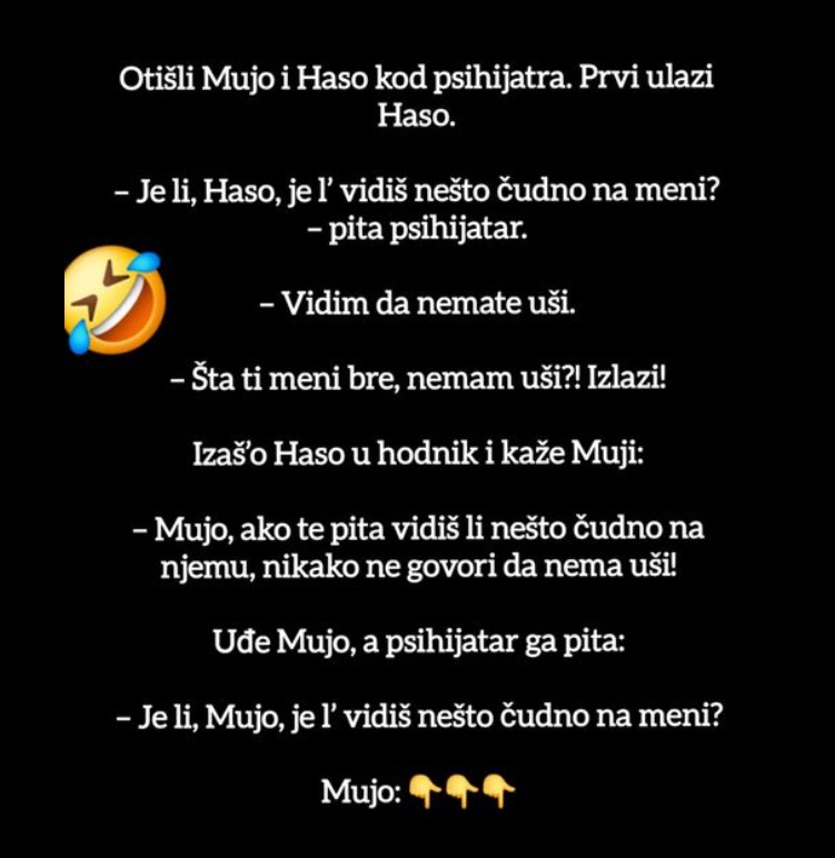 Otišli Mujo i Haso kod psihijatra – duhoviti susret pun zabune