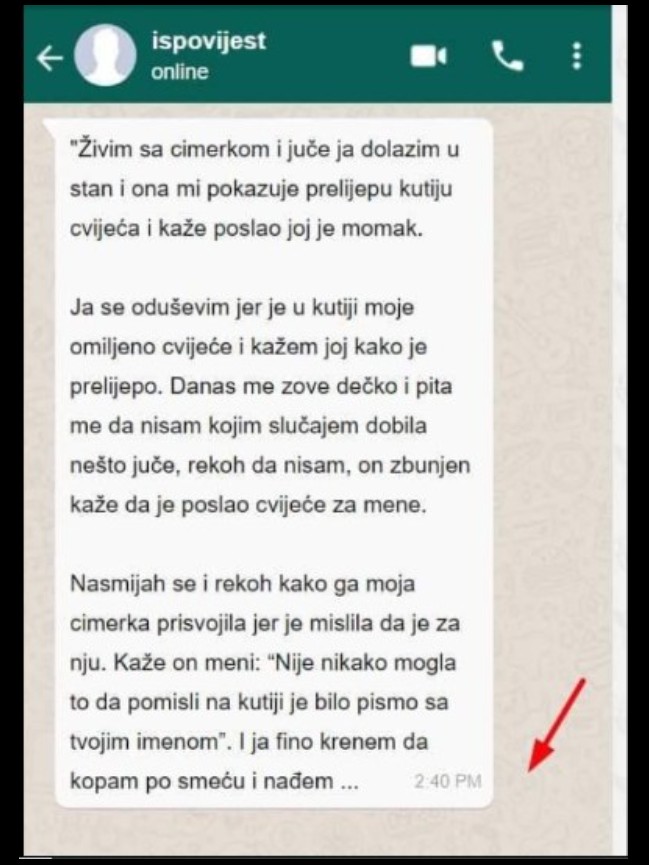 “Živim sa cimerkom i juče ja dolazim u stan i ona mi pokazuje prelijepu kutiju cvijeća”