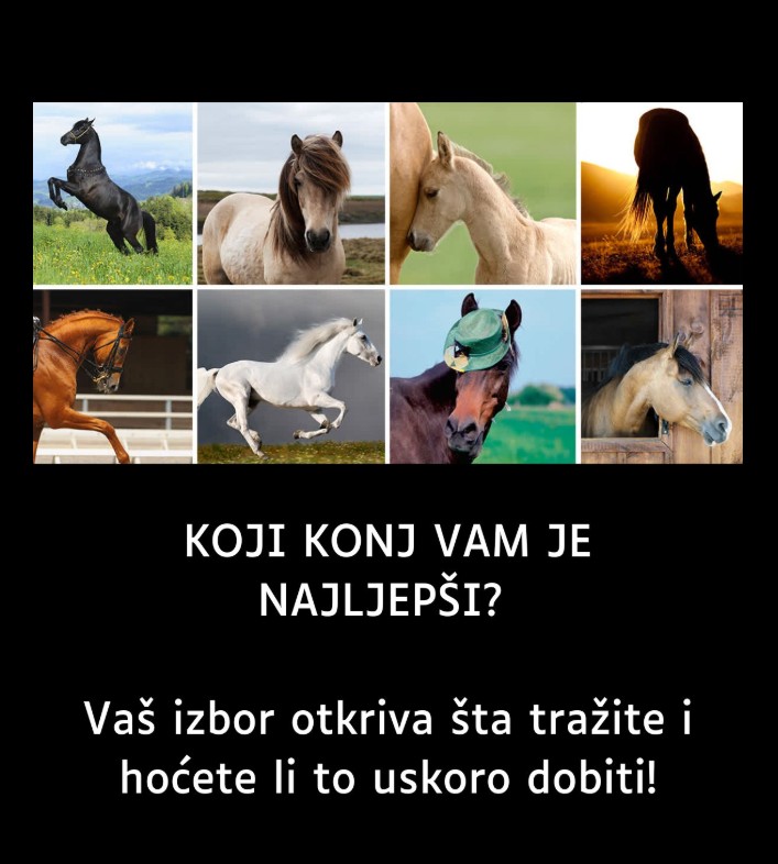 Koji konj ti najviše privlači pažnju? Otkrij što tvoja intuicija kaže o tebi!
