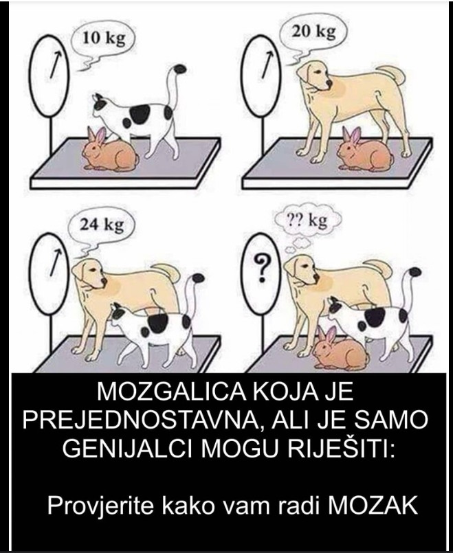 🧠 Mozgalica koja je zaludela društvene mreže: Koliko su teški pas, mačka i zec zajedno?
