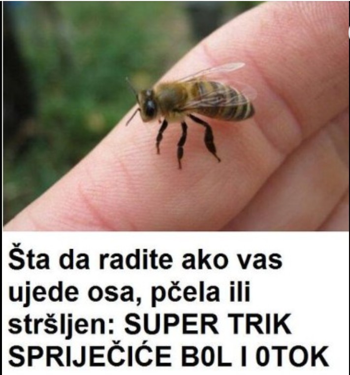 Ubodi insekata: Kako se zaštititi i pravilno reagovati