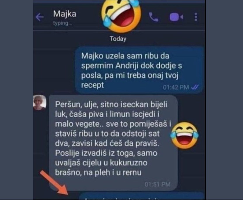 DJEVOJKA SE TEK UDALA I PITALA MAMU RECEPT ZA RIBU, DA SPREMI RUČAK MUŽU: Zbog njene zadnje poruke BALKAN PLAČE OD SMIJEHA