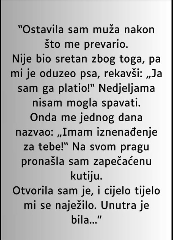Istinita priča o ljubavi i oproštaju – pas koji je znao kome pripada
