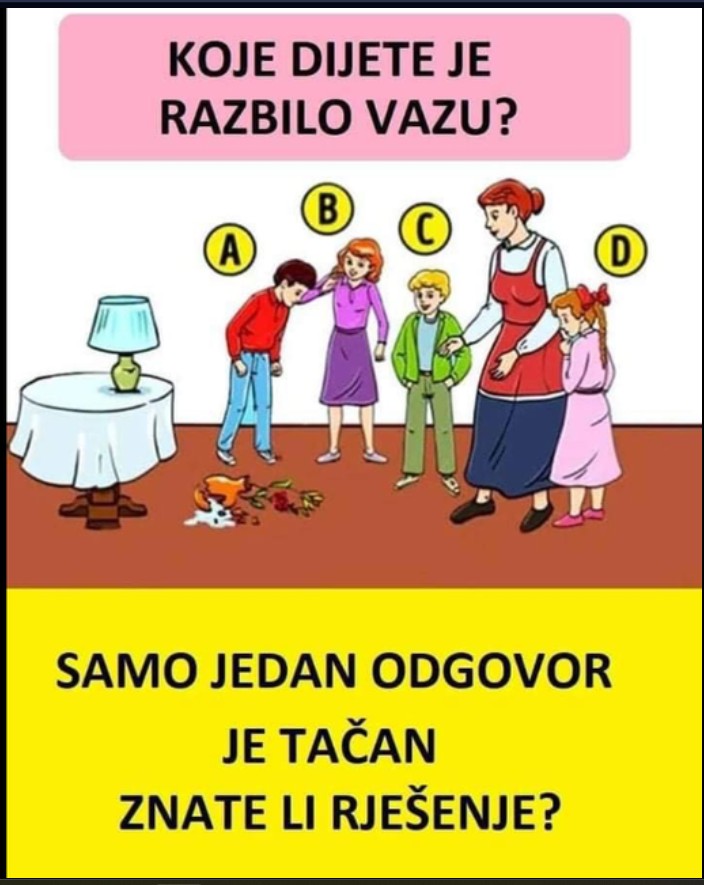 KOJE DIJETE JE RAZBILO VAZU? SVI RAZLIČITO ODGOVORE: Pronađite krivca!