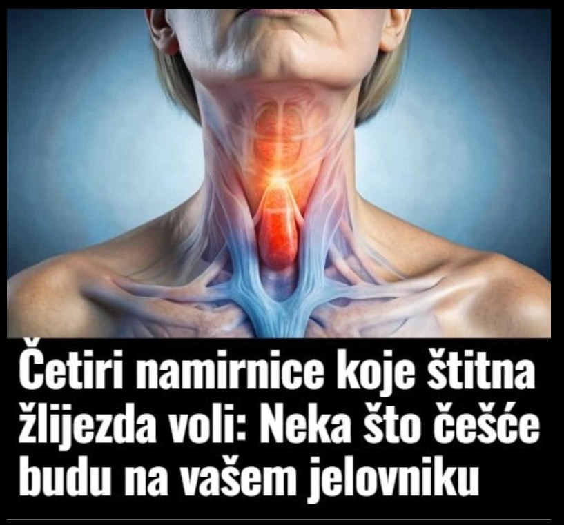 Štitna žlijezda: Mala žlijezda – veliki uticaj na zdravlje