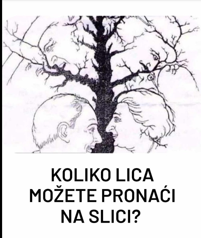 Koliko ste pronicljivi? Optička iluzija koja otkriva vašu moć zapažanja