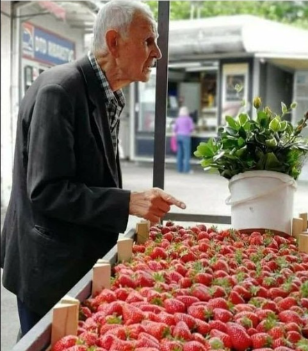 Priča:Starac i jagode