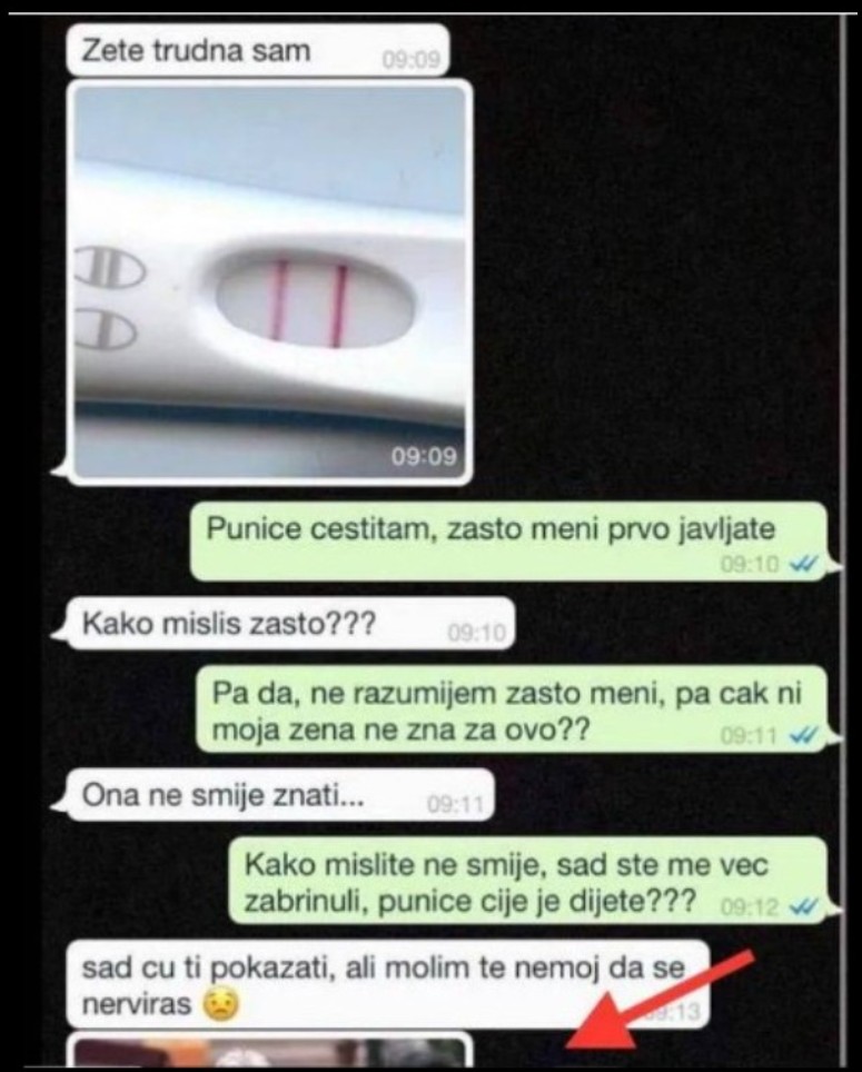 PUNICA MI JE NAPISALA DA JE TRUDNA, NIŠTA MI NIJE BILO JASNO