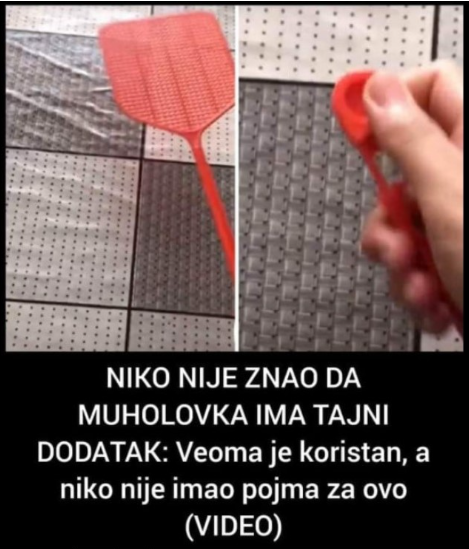 NIKO NIJE ZNAO DA MUHOLOVKA IMA TAJNI DODATAK: Veoma je koristan, a niko nije imao pojma za ovo (VIDEO)