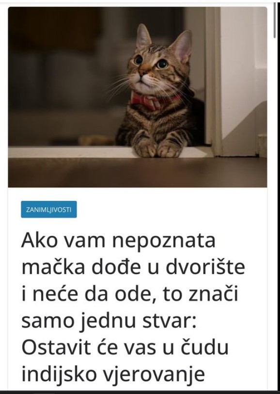 Mačke i njihovo prisustvo – simbolika kroz različite kulture