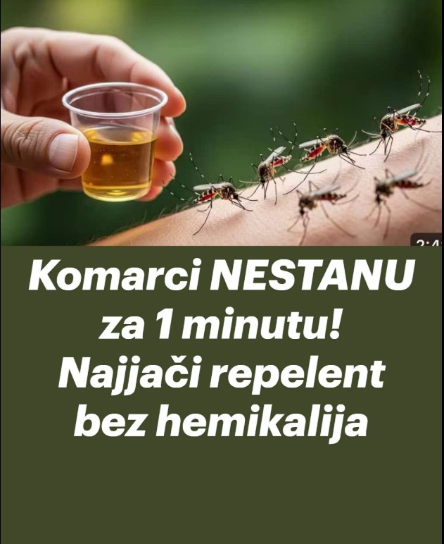 Prirodna zaštita od komaraca: jednostavno rješenje za prijatnije ljetne večeri