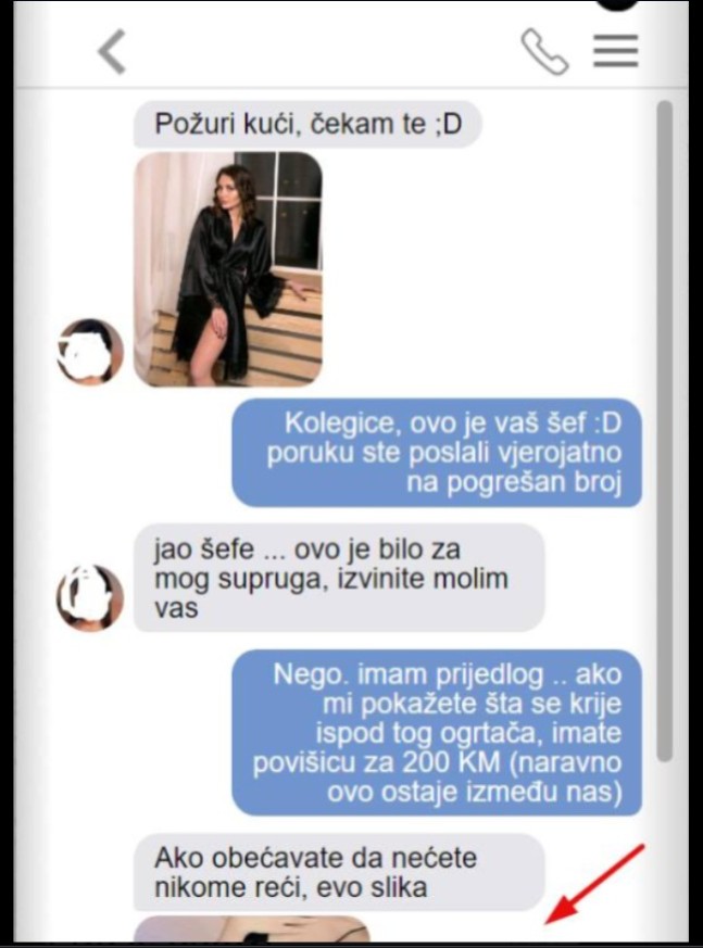UMJESTO SUPRUGU SLUČAJNO SAM ŠEFU POSLALA PORUKU: Ponudio mi je povišicu ako mu pošaljem cijelu sliku, KAD SAM MU POSLALA USLIJEDIO JE PAKAO ZA MENE