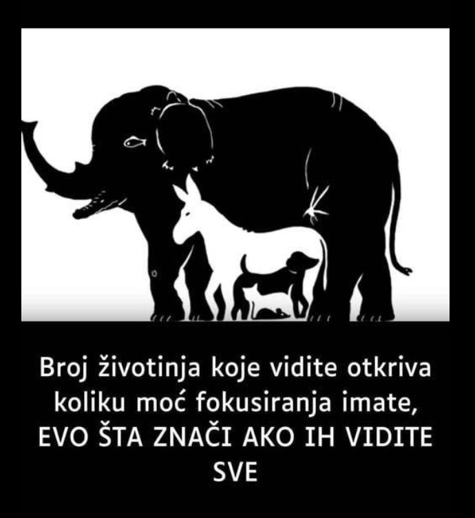 👀 Optičke iluzije: Koliko životinja vidite?