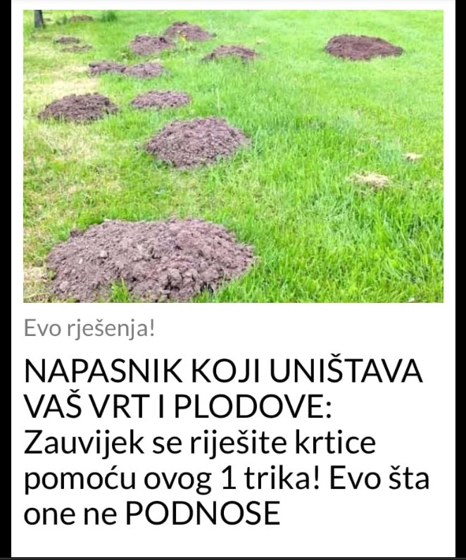 Kako se riješiti krtica na prirodan način: Savjeti za zaštitu dvorišta i vrta