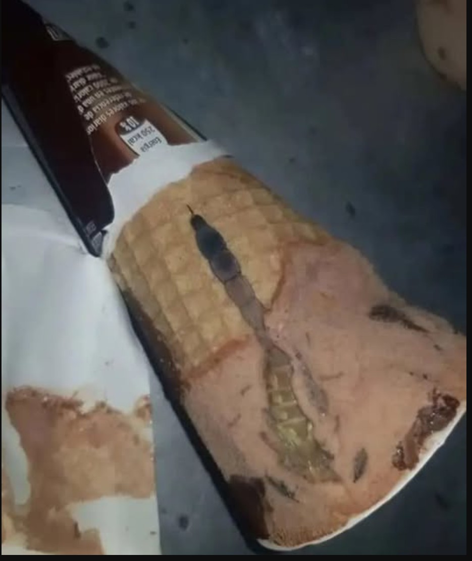 Kako je jedno iznenađenje u sladoledu promenilo naš porodični život