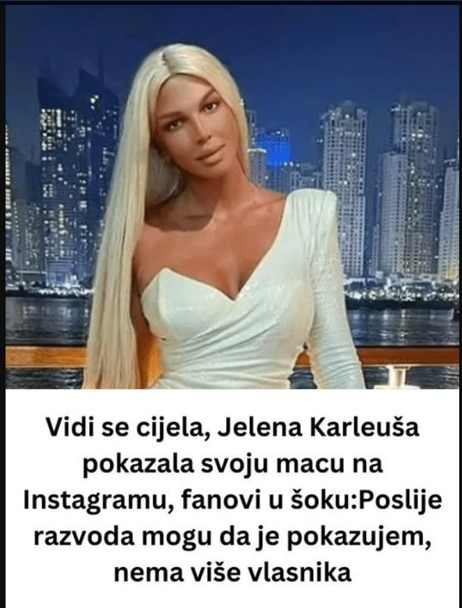 Vidi se cijela, Jelena Karleuša pokazala svoju macu na Instagramu, fanovi u šoku:Poslije razvoda mogu da je pokazujem, nema više vlasnika