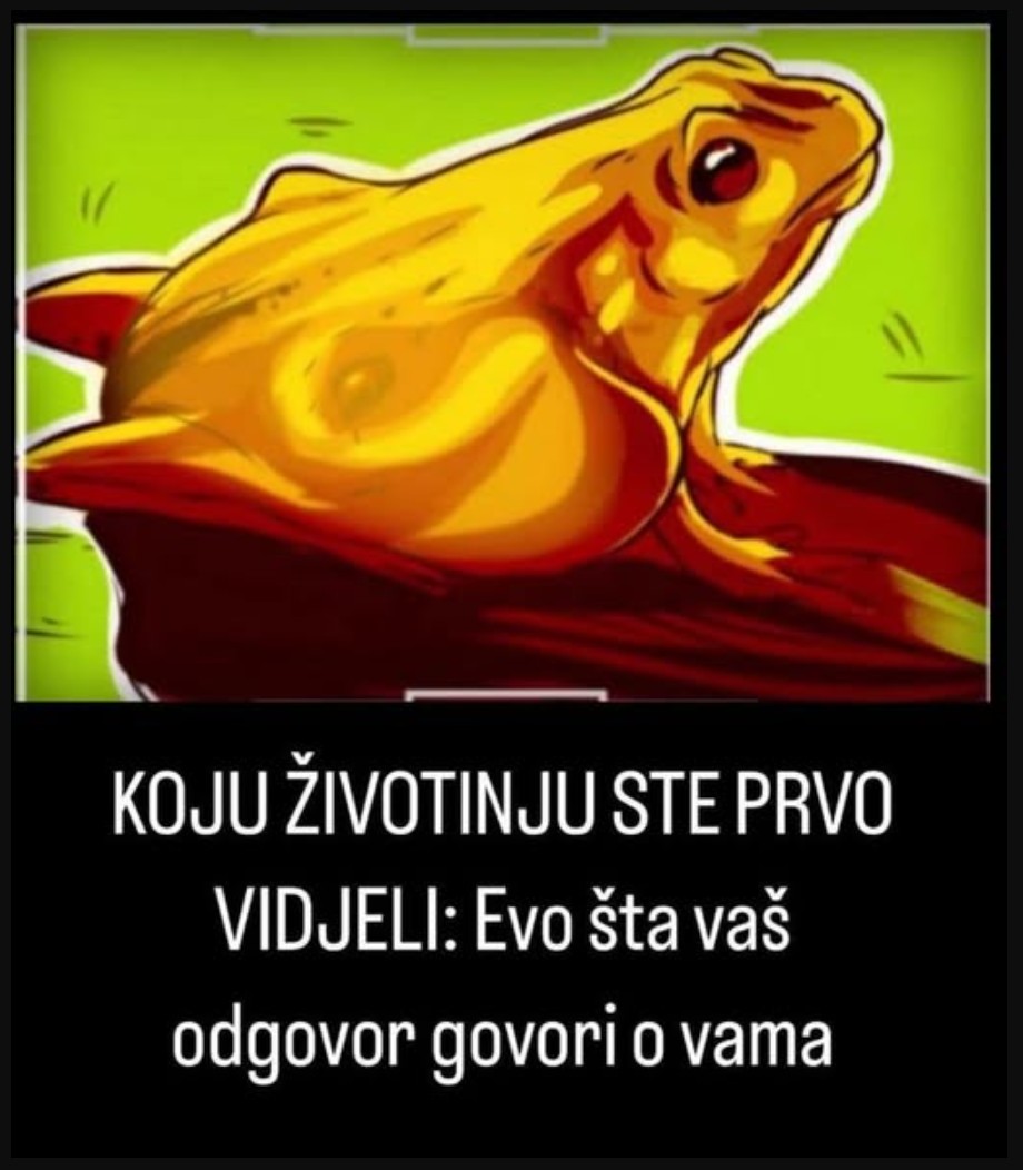 KOJU ŽIVOTINJU STE PRVO VIDJELI: Evo šta vaš odgovor govori o vama