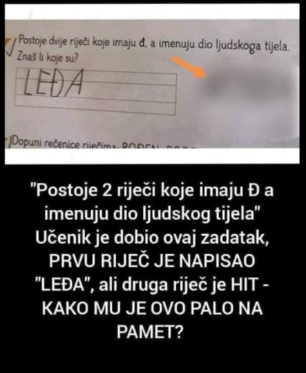 “Postoje 2 riječi koje imaju Đ a imenuju dio ljudskog tijela” Učenik je dobio ovaj zadatak, PRVU RIJEČ JE NAPISAO “LEĐA”, ali druga riječ je HIT – KAKO MU JE OVO PALO NA PAMET?