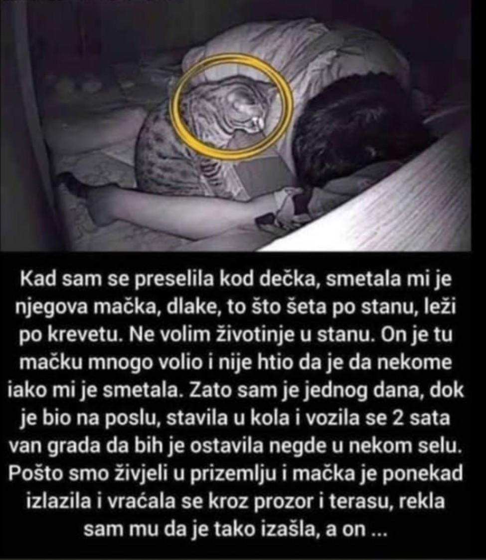 “Preselila sam se kod dečka koji je imao mačku”