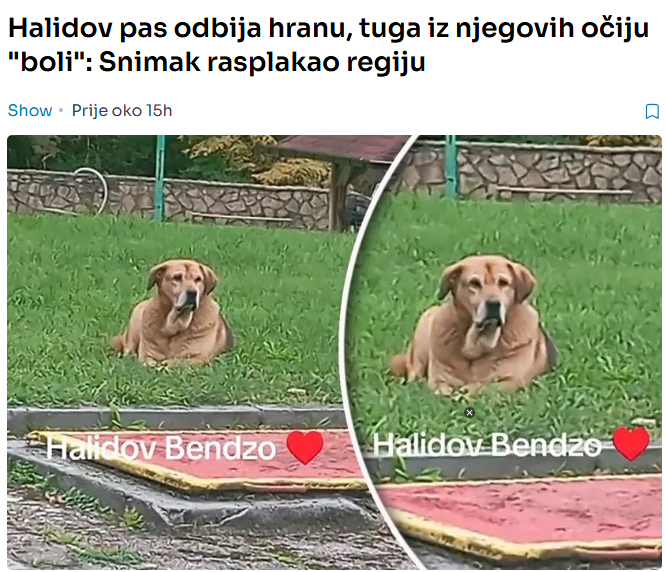 Halidov pas odbija hranu, tuga iz njegovih očiju “boli”: Snimak rasplakao regiju
