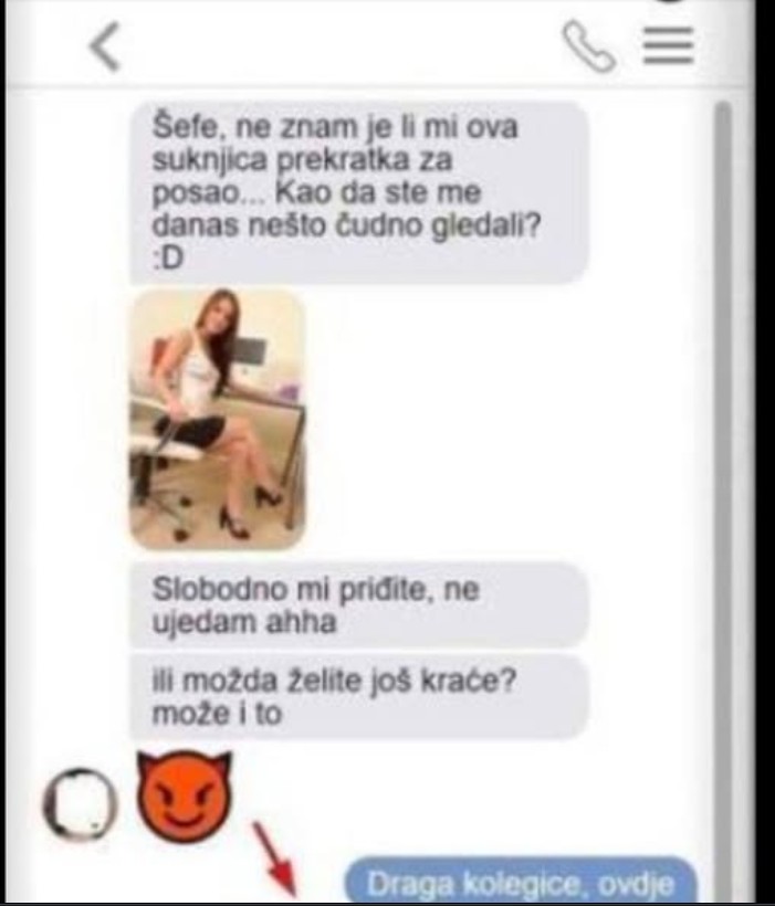 MOJ ŠEF JE ISTO GODIŠTE KAO I JA, DANAS SAM MU POSLALA OVU SLIKU: Kad mi je stigao ODGOVOR, PROPALA SAM U ZEMLJU