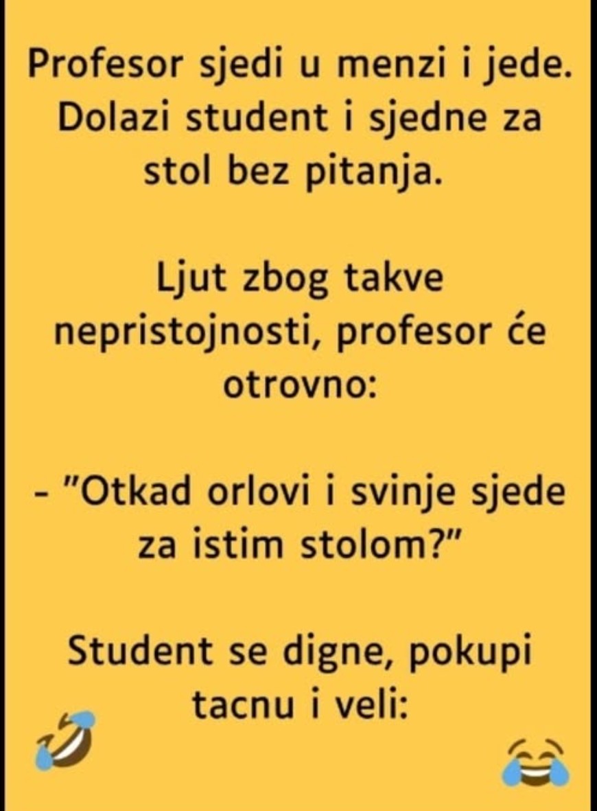 VIC: Profesor i student