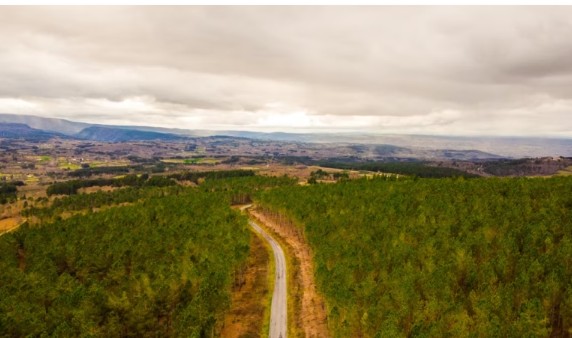 Susret koji menja sve