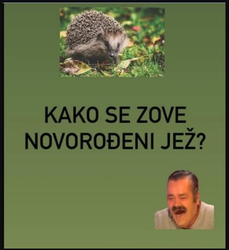 Vic: Novorođeni jež