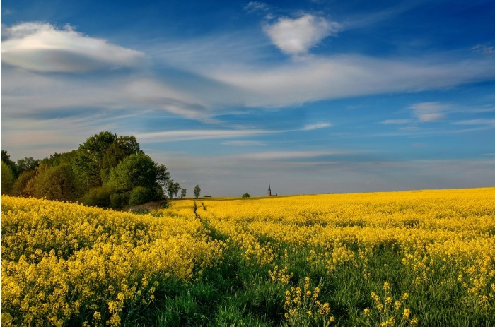 Tišina koja govori: priča o gubitku, istini i unutrašnjoj snazi jedne žene